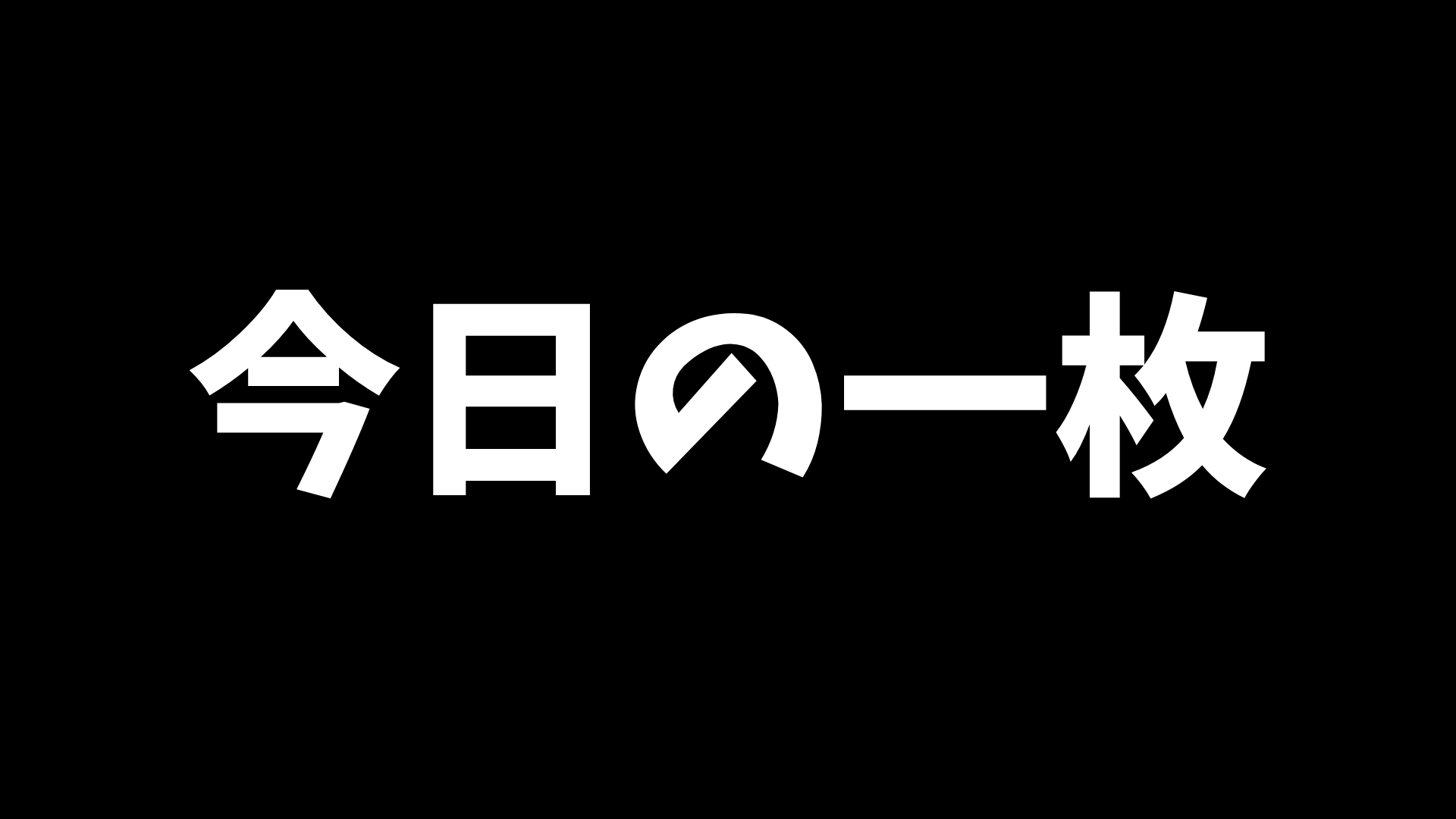今日の一枚（5/13）